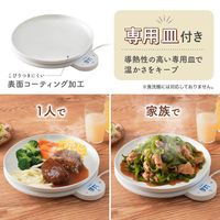 サンコー 「フードウォーマー ディッシュ(Dish)」 FDWD25SWH 1台（直送品）