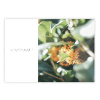 学研ステイフル メッセージブック It's always okay 応援 もなみん 空 封筒付 E10085 1セット(1冊×3)（直送品）