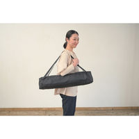 シンセーインターナショナル ペットキャリー 折りたたみ 簡単 ペットクレートワンタッチ M バッグ グレー 439247 1個（直送品）