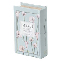 東京かんかん 小物入れ ブックボックス S ふた付き 幅17×奥行11×高さ5cm カラー 489711 1個（直送品）