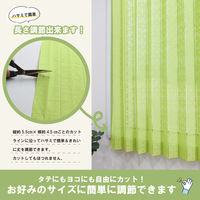 加栄レース カフェカーテン フリーカット 水玉ドット柄 100×115cm 小窓 グリーン 469422 1個（直送品）