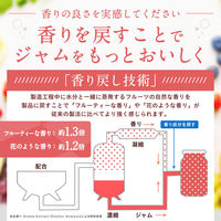 （アスクル・ロハコ先行販売）アヲハタ55ジャムデザインBOX（3種×6袋) 1箱 小袋 ジャム ギフト 手土産 ノベルティ 景品 限定