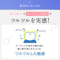 液体歯磨き 個包装 SHIROI スティック袋 10ml×5本 NSファーファ・ジャパン