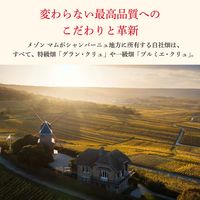 マム コルドン ルージュ グラス２脚セット 1セット シャンパン 箱入 ペルノリカール