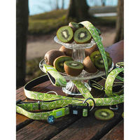 ルークラン リード 犬 M マックス&モーリー 中型犬 1.2m キウイ 437645 1個（直送品）