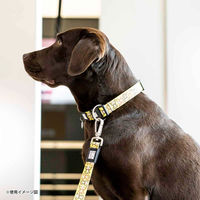 ルークラン リード 犬 S マックス&モーリー 小型犬 1.2m モンキー 437683 1個（直送品）