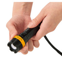 リマーク ネックストラップ付きズームライト 81722 1個（直送品）