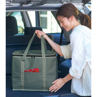 リマーク 大きな保冷温ボックスバッグ 82392 1個（直送品）