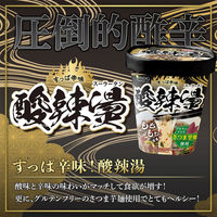 医食同源ドットコム 医食同源 麻辣湯&酸辣湯 セット なし 1セット(2種計6個)（直送品）
