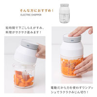 武田コーポレーション 電動みじん切りカッター USB-MZNK 1箱(27個入)（直送品）