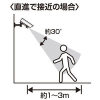 スマイルキッズ センサーライト付防犯ダミーカメラ ASL-3309 1個（直送品）