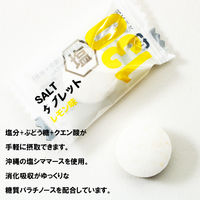 暑さ対策 塩分補給 塩分対策  暑さに負けない塩タブレット レモン味 675g　約250粒入 1セット(1袋×2) オリジナル