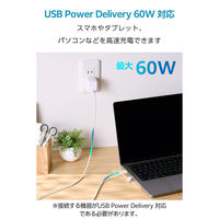 2in1 ケーブル USB-C to USB-C＋Lightning変換 1m 白 MPA-CCLECAD10WH エレコム 1個（直送品）