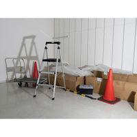 朝日電器 LED投光器 3000ルーメン 昼白色相当 LFL-1003 1個（直送品）