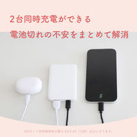 オウルテック 5000mAh12W対応USB-C入出力/USB-A出力モバイルバッテリー OEC-LPB5028-WH 1個（直送品）