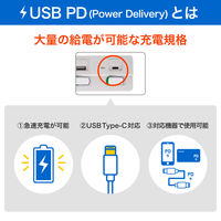 朝日電器 延長コード 耐雷 LEDランプスイッチ付 3個口/1m PD20W ブラック WLK-3221SUC(BK) 1個（直送品）