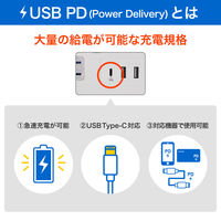 朝日電器 延長コード 耐雷 集中スイッチ付き 丸形 4個口/2m PD20W ホワイト WLS-R4322BUC(W) 1個（直送品）