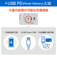 朝日電器 延長コード 耐雷 集中スイッチ付き 丸形 6個口/2m PD20W ホワイト WLS-R6322BUC(W) 1個（直送品）