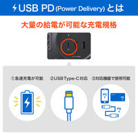 朝日電器 延長コード 耐雷 集中スイッチ付き 丸形 6個口/2m PD20W ブラック WLS-R6322BUC(BK) 1個（直送品）