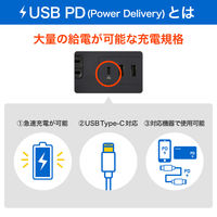 朝日電器 延長コード 耐雷 集中スイッチ付き 丸形 4個口/2m PD20W ブラック WLS-R4322BUC(BK) 1個（直送品）