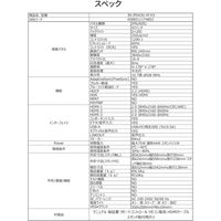 JAPANNEXT 43インチ ワイド 4K液晶ディスプレイ JN-IPS43U-M-H3 1台（直送品）