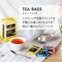 （復活感謝祭セール）（アスクル・ロハコ先行販売）片岡物産 トワイニング カモミール 1セット(50バッグ入×6) 限定