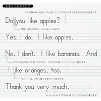 オキナ ブルーライン英語ノート セミB5 10段 30枚 EN10 1冊