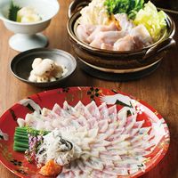 関とら本店 開運招福　七ふく神セット FSC-150YZ 1個（直送品）