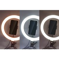 ハック スタンド付きLEDセルフライト 2757 1個（直送品）