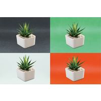 ハック 組立式撮影スタジオセット 2809 1個（直送品）