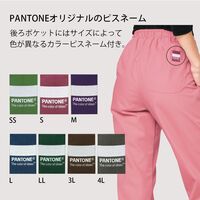 フォーク PANTONE（パントン） メンズストレートパンツ アルティメットグレー 5018SC-75-3L 1枚（直送品）