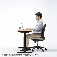 サンワサプライ 電動上下昇降デスク ERD-TW10050LM 1台（直送品）