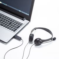 サンワサプライ USBヘッドセット MM-HSU18BK 1個