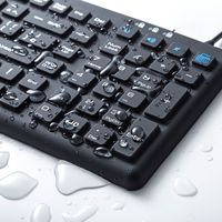 有線キーボード　ラバースイッチ　抗菌防水防塵仕様　スタンダード　ブラック　SKB-BS7BK　サンワサプライ　1個（直送品）