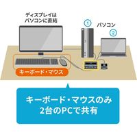サンワサプライ パソコン切替器(エミュレーション非搭載・手元スイッチ付き) SW-KVM2UUSN2 1個