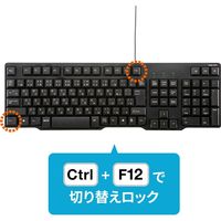 サンワサプライ パソコン自動切替器(4:1) SW-KVM4LUN2 1個（直送品）