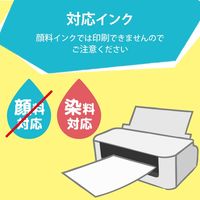 ラベル 名前シール 強力 インクジェット 油性/水性ペン対応 Lサイズ EDT-CTL エレコム 1個（直送品）