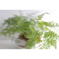 明和グラビア 飛散軽減フィルム GHK-0104 1本（直送品）