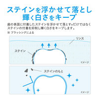 NONIO（ノニオ） プラスホワイトニング デンタルリンス フレッシュホワイトミント 1000mL ライオン マウスウォッシュ美白