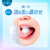 ピュオーラ 泡ハミガキ マイルドグリーンの香味 190mL 1本 花王 歯磨き粉 ネバつき浄化 口臭・歯周病予防