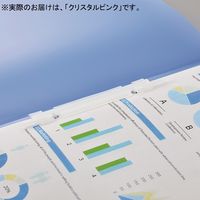 LIHIT LAB. ルーパーファイル クリスタルピンク F3006-5P-18 1袋