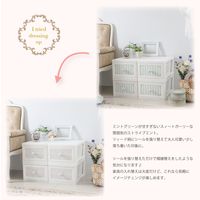 アイ・エル・シー ドレスチェスト1段4個組モダンローズ DPC-01-MR 1セット(4個入×2)（直送品）