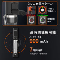 NICRON B74i 首振り 600LM 1個（直送品）