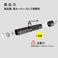 NICRON B74Pro 首振り 1000LM 1個（直送品）