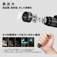 NICRON C3ポケットライト 1000LM C3 1個（直送品）