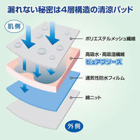 ファミリー・ライフ NEWさわやか安心ボクサーパンツ レギュラー用タイプ 2色組 同サイズ 3L a3562005 1セット(2色入)（直送品）