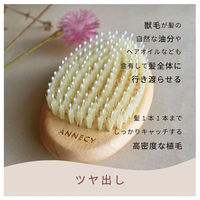 アヌシ Oval 獣毛ブラシAOJ-1000 82439 1個（直送品）