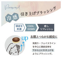 アヌシ Oval ゴールドピンブラシAOJ-3000 82438 1個（直送品）