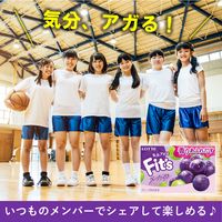 Ｆｉｔ’ｓ＜グレープミックス＞ 1セット（10個入）