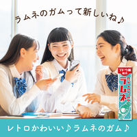 ガム チウインガム ラムネ 9枚入 1セット(1個×10)